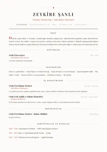 Hasta ve Yaşlı Bakım Elemanı Cv Örnekleri cv indir